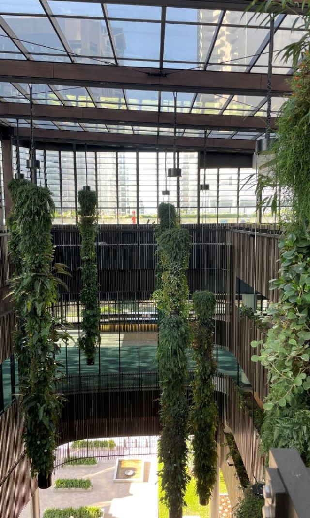 Hanging stalactite plants inside the partially complete Queens Wharf